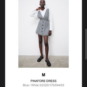 Zara dress